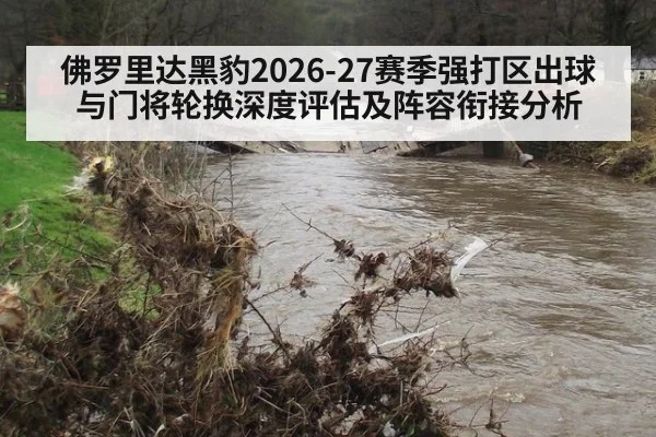 佛罗里达黑豹2026-27赛季强打区出球与门将轮换深度评估及阵容衔接分析